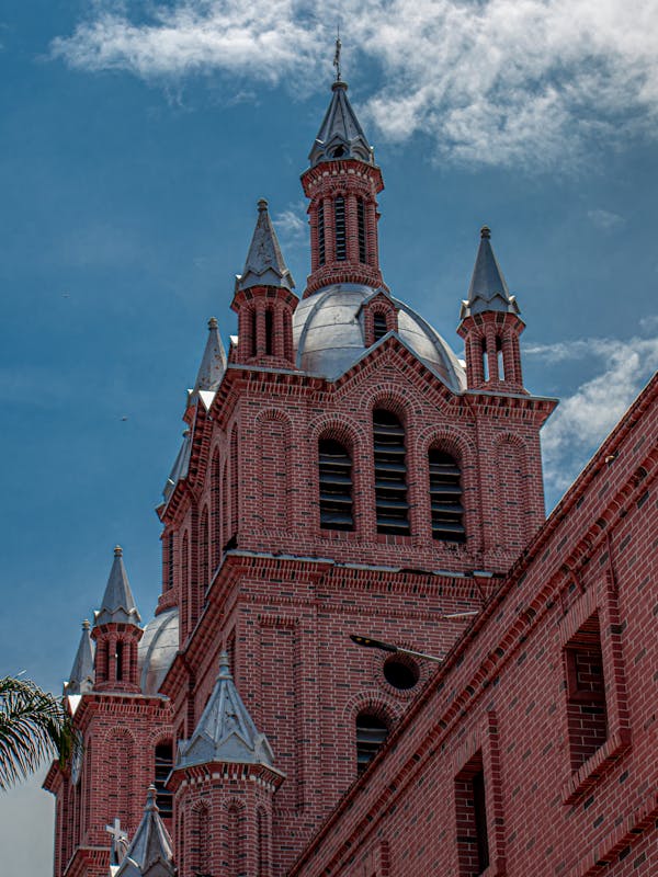 pexels-photo-13836689