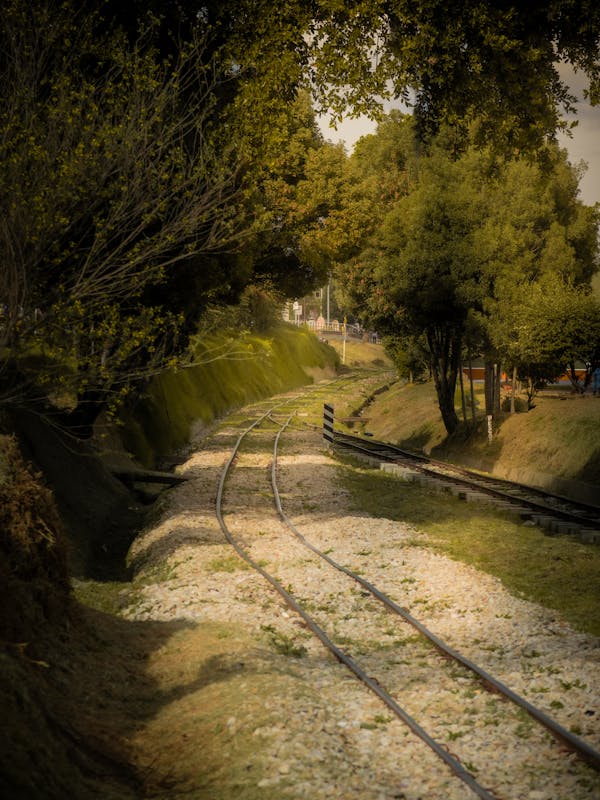 pexels-photo-30220235-1